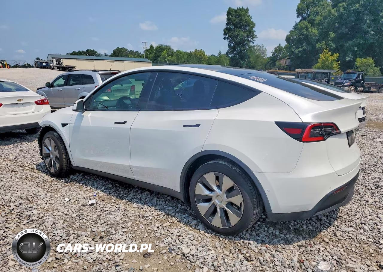 2020 Tesla Model Y VIN:5YJYGDEE7LF043458 - 2
