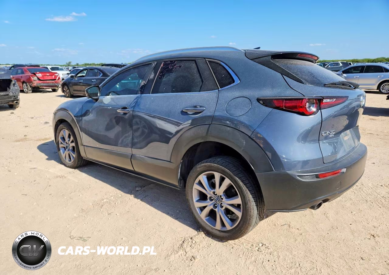 2021 Mazda Cx-30 Premium VIN:3MVDMBDL5MM315920 - 2