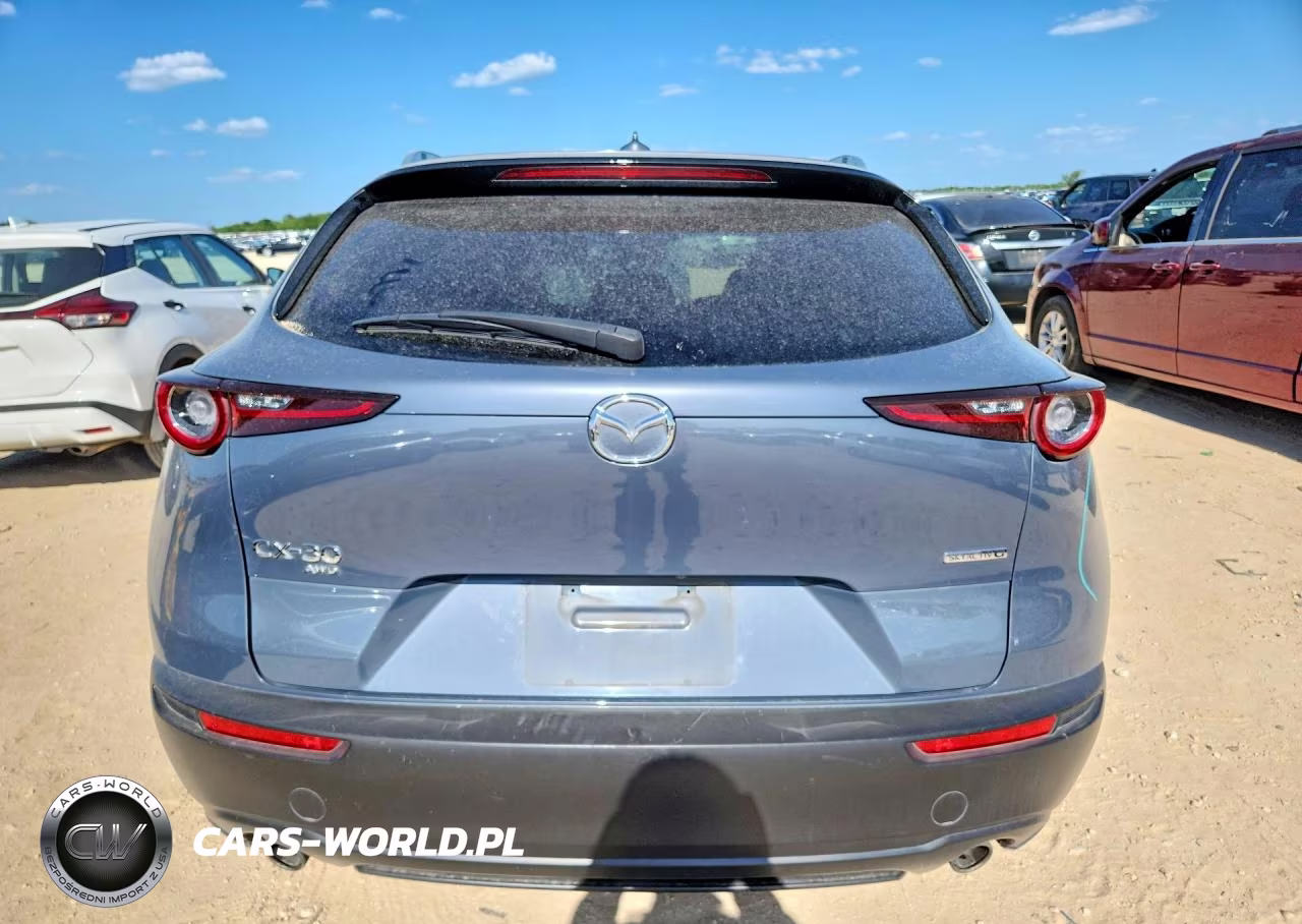 2021 Mazda Cx-30 Premium VIN:3MVDMBDL5MM315920 - 6