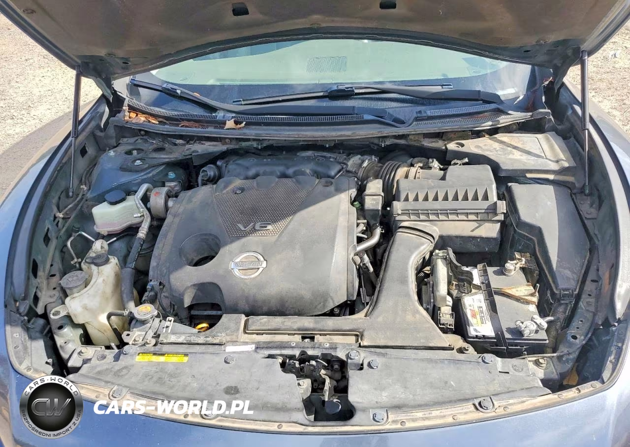 2009 Nissan Maxima 3.5 S VIN:1N4AA51E59C814560 - 11