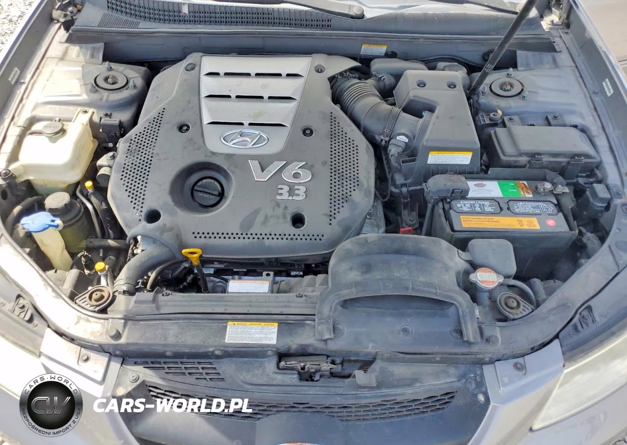 2007 Hyundai Sonata Se VIN:5NPEU46F67H289301 - 11