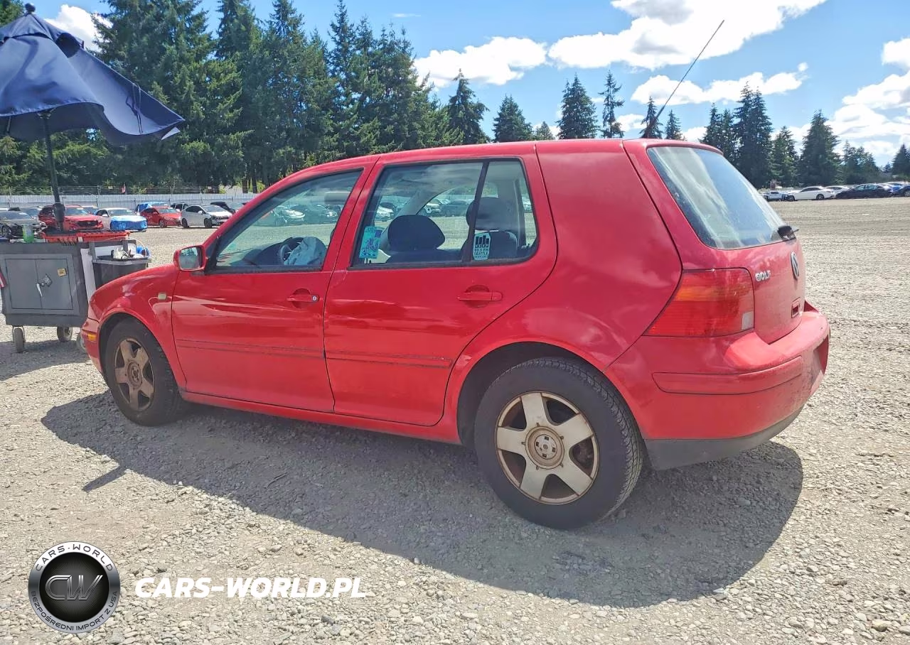 2002 Volkswagen Golf Gls VIN:9BWGB61J824069202 - 2