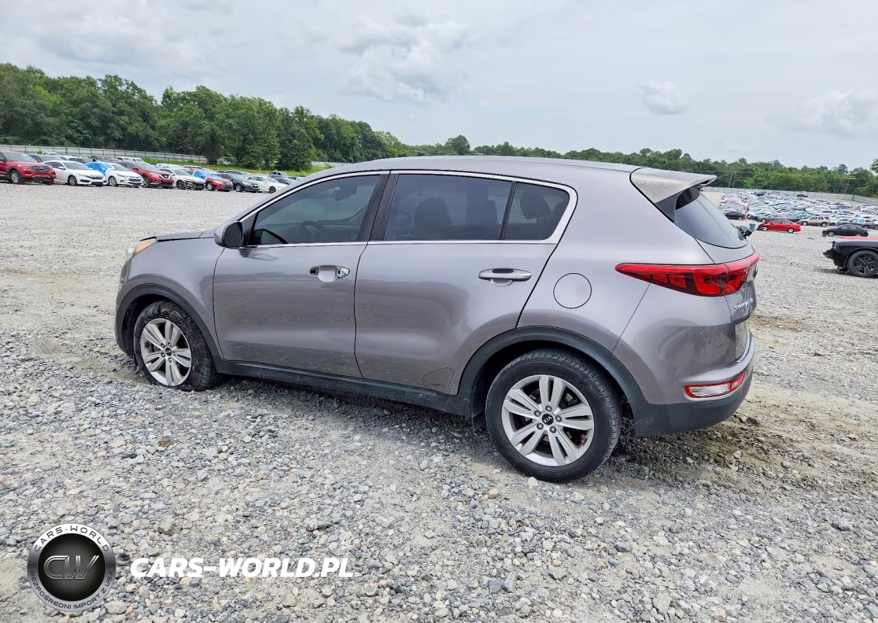 2019 Kia Sportage Lx VIN:KNDPM3ACXK7493547 - 2