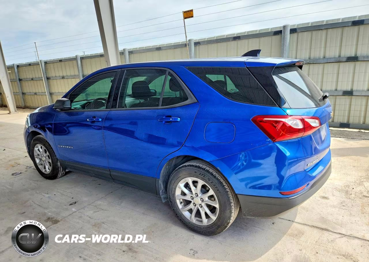 2019 Chevrolet Equinox Ls VIN:3GNAXHEV3KS569785 - 2