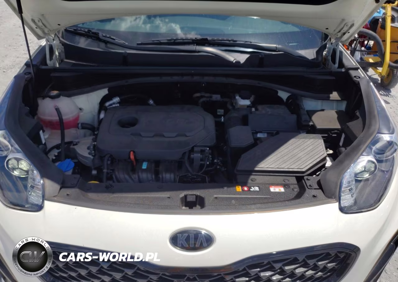 2022 Kia Sportage S VIN:KNDP63AC0N7997877 - 12