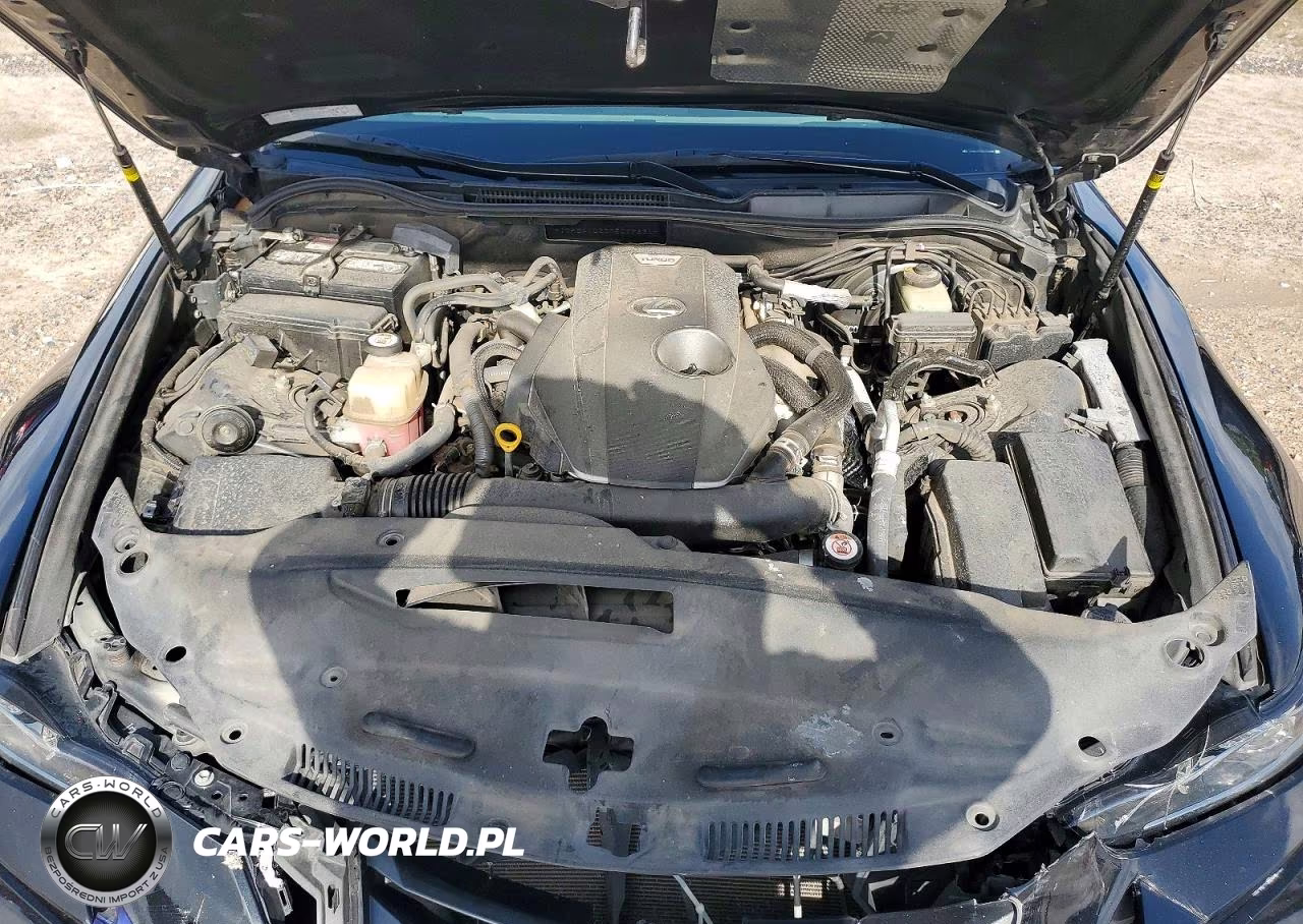 2019 Lexus Is 300 VIN:JTHBA1D23K5099831 - 12