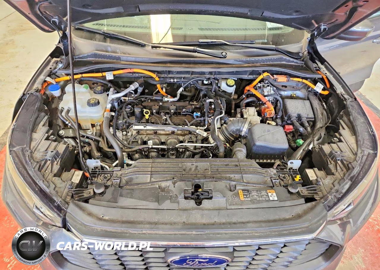 2023 Ford Escape VIN:1FMCU0E13PUB43784 - 12