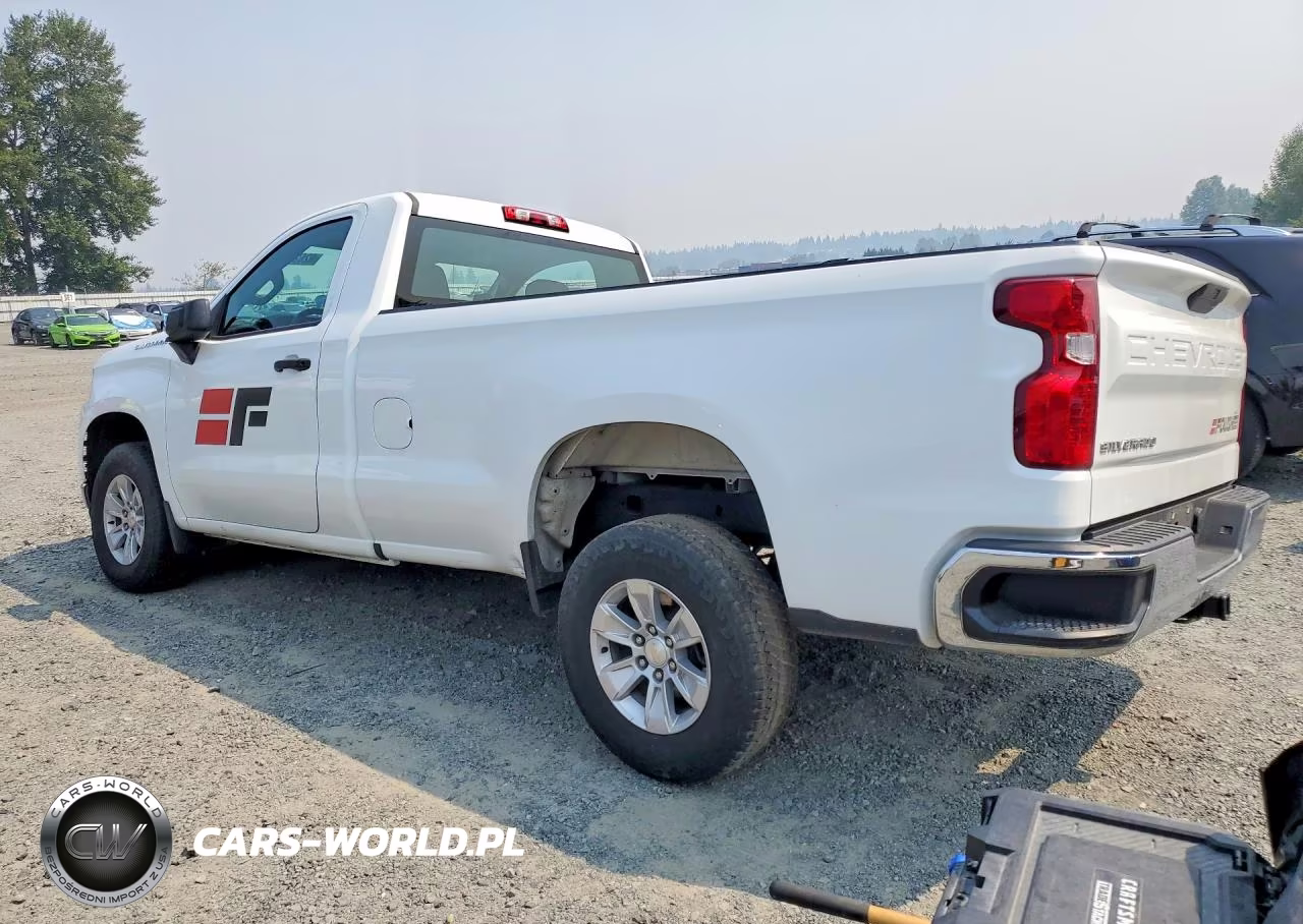 2021 Chevrolet Silverado C1500 VIN:3GCNWAEF3MG369217 - 2