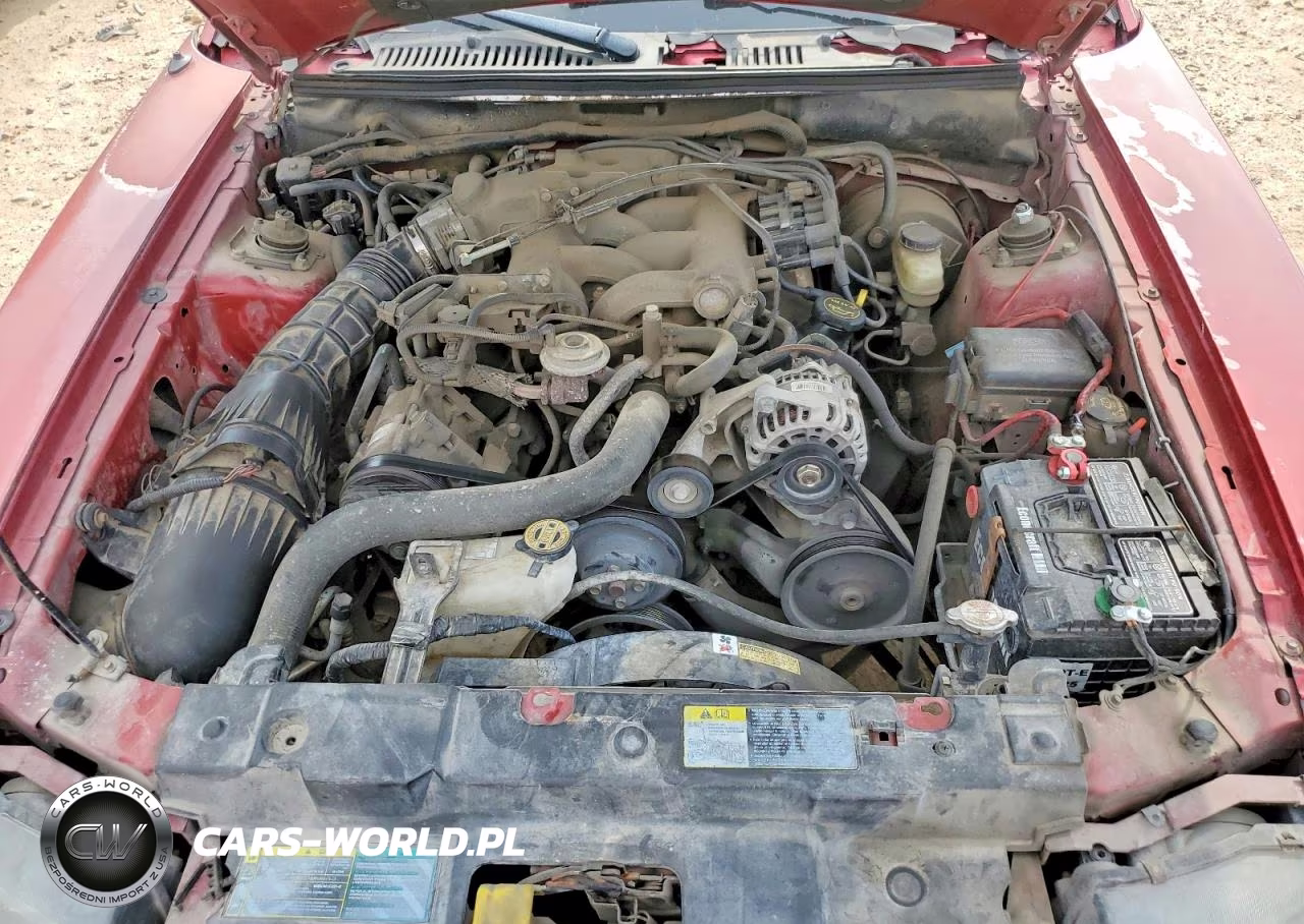 2003 Ford Mustang VIN:1FAFP40453F339019 - 11
