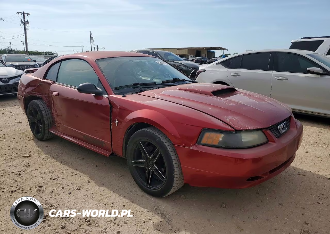 2003 Ford Mustang VIN:1FAFP40453F339019 - 4