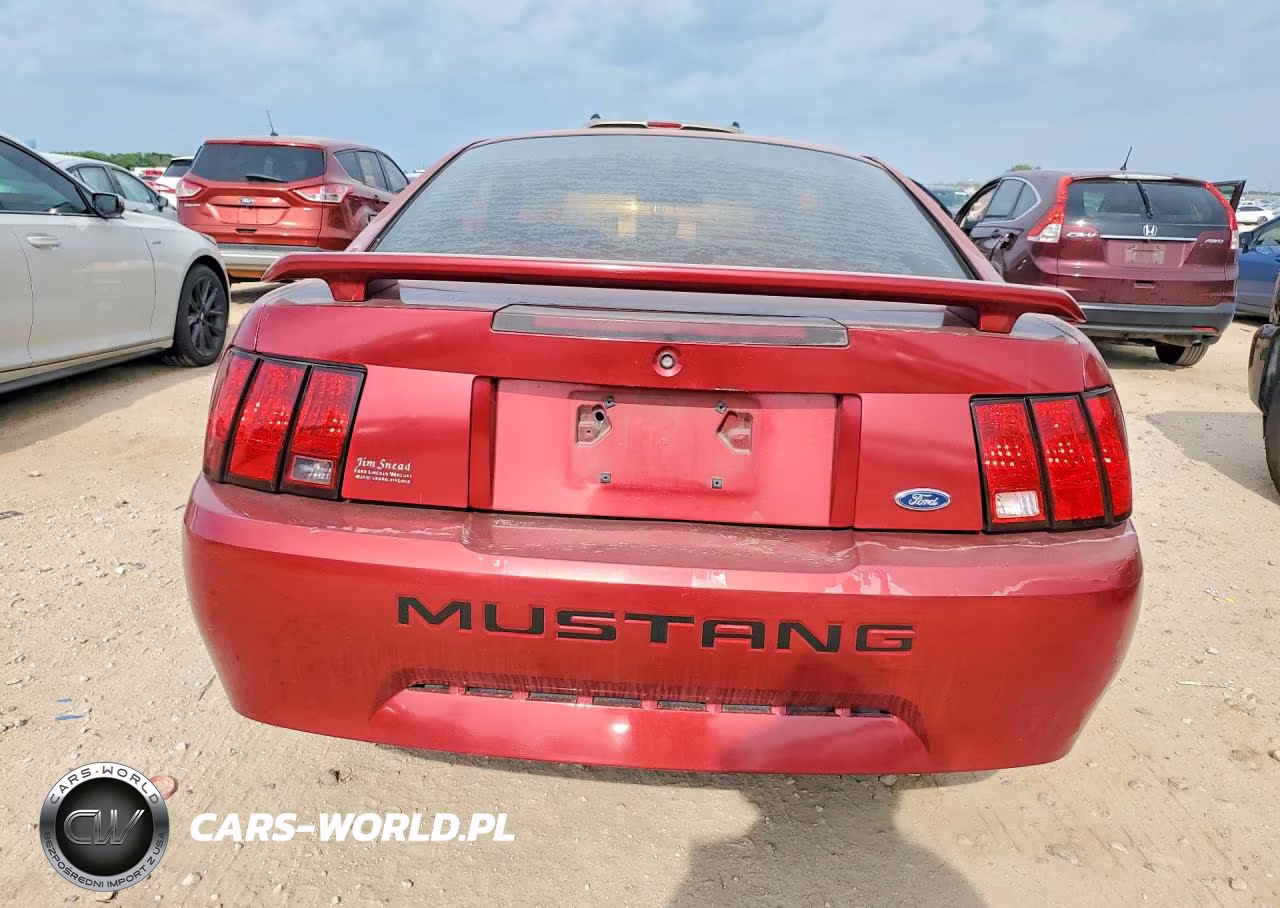 2003 Ford Mustang VIN:1FAFP40453F339019 - 6