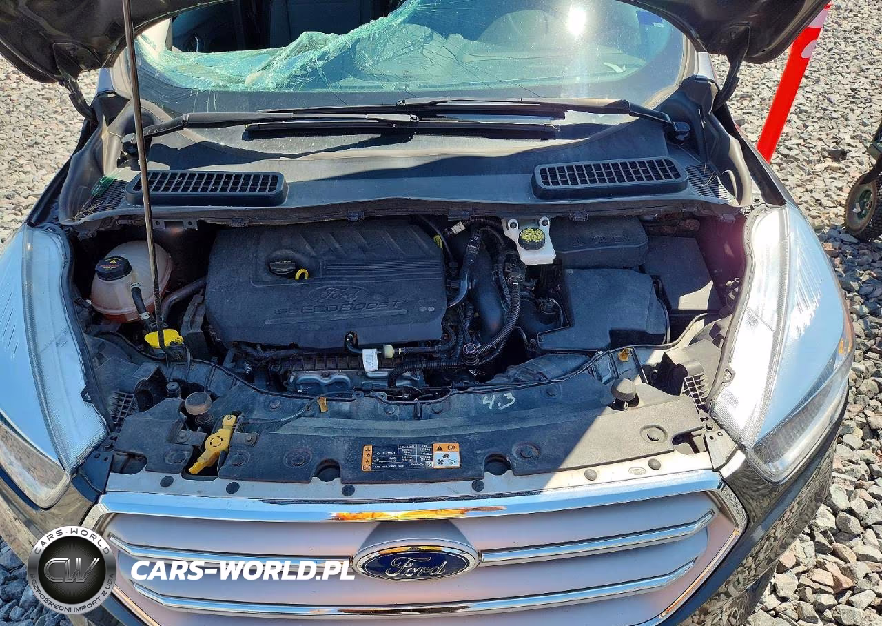 2018 Ford Escape Se VIN:1FMCU9GD0JUC11770 - 12