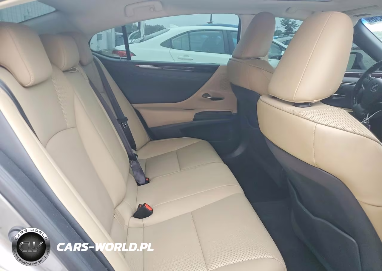 2019 Lexus Es 350 VIN:58ABZ1B16KU046782 - 10