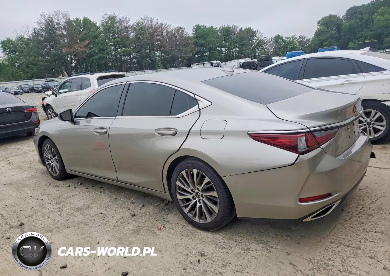2019 Lexus Es 350 VIN:58ABZ1B16KU046782 - 2