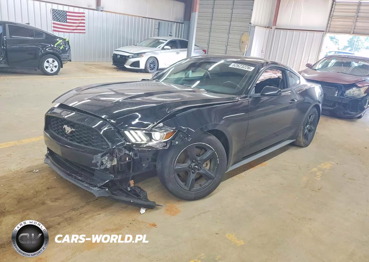 2017 Ford Mustang Base VIN:1FA6P8AM7H5262947 - 1