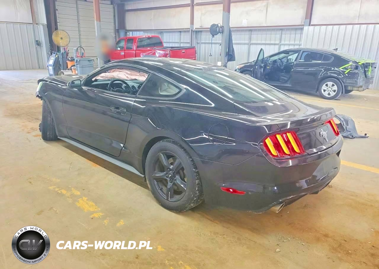 2017 Ford Mustang Base VIN:1FA6P8AM7H5262947 - 2