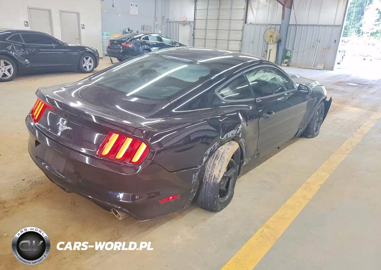2017 Ford Mustang Base VIN:1FA6P8AM7H5262947 - 3