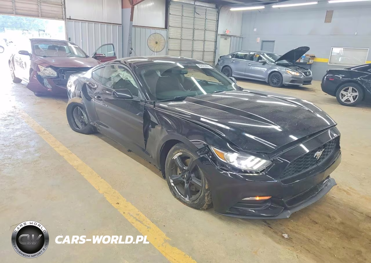 2017 Ford Mustang Base VIN:1FA6P8AM7H5262947 - 4