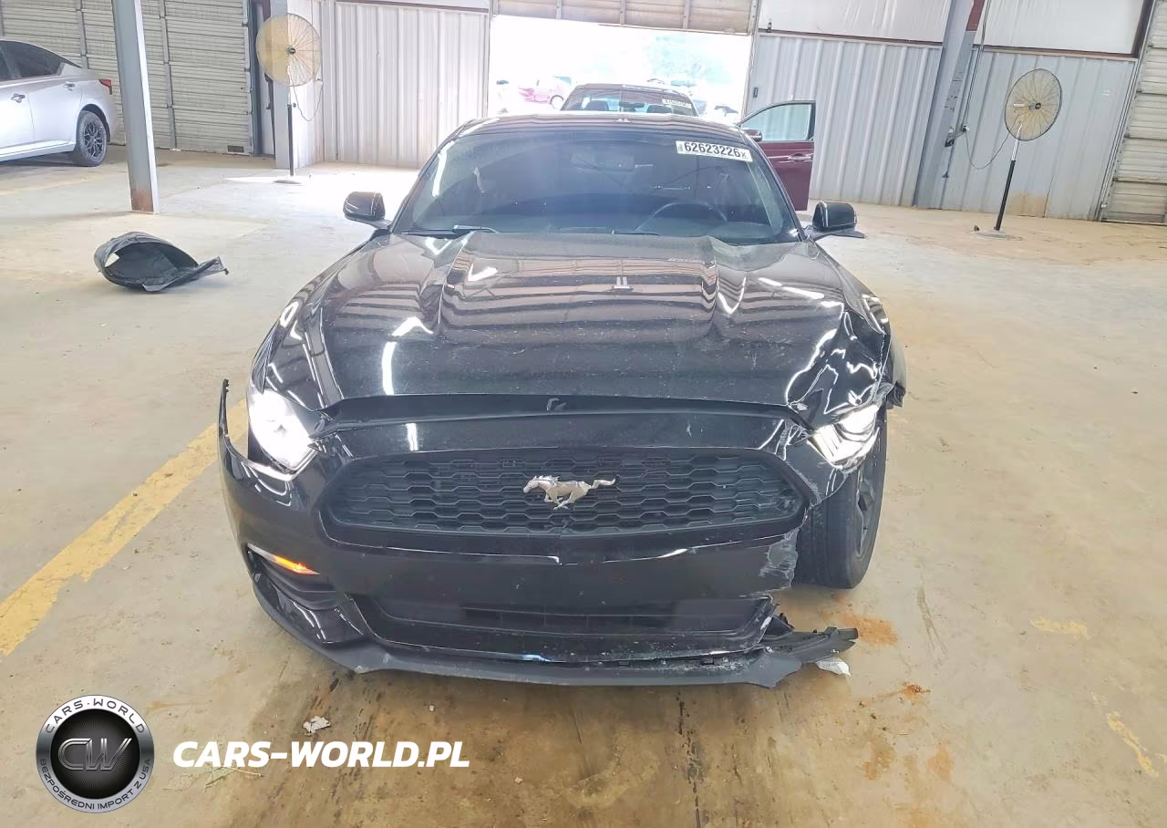 2017 Ford Mustang Base VIN:1FA6P8AM7H5262947 - 5