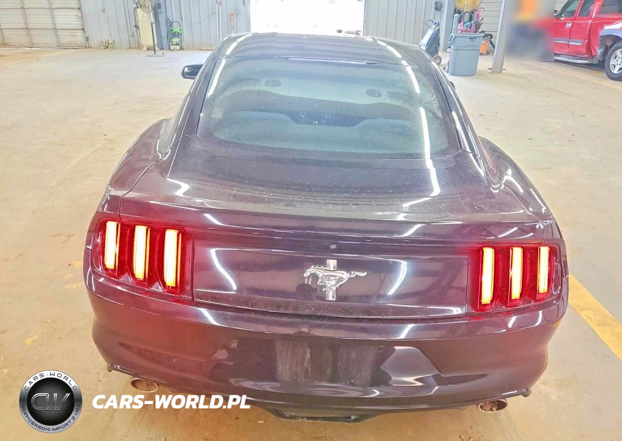 2017 Ford Mustang Base VIN:1FA6P8AM7H5262947 - 6