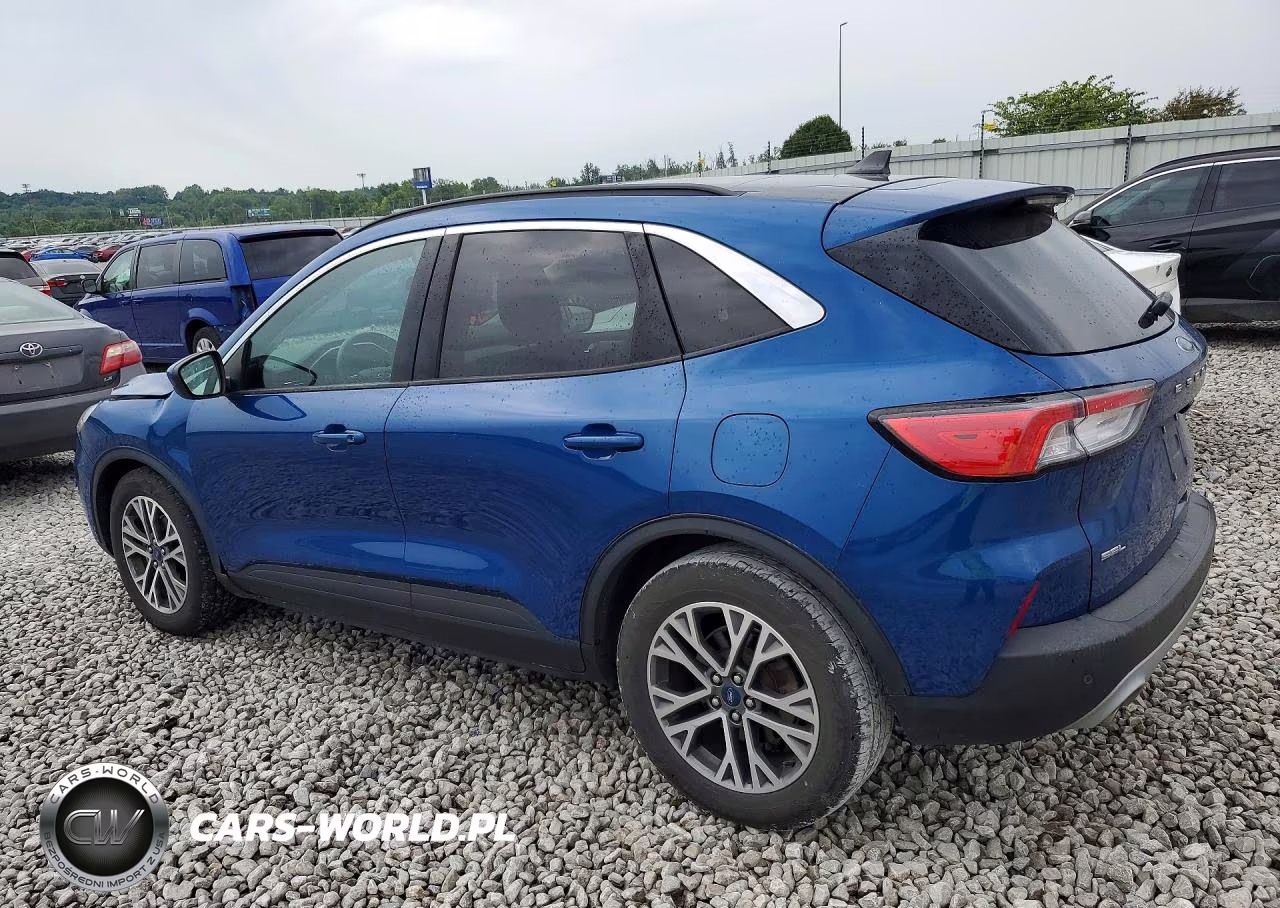2022 Ford Escape Sel VIN:1FMCU0H60NUA79532 - 2