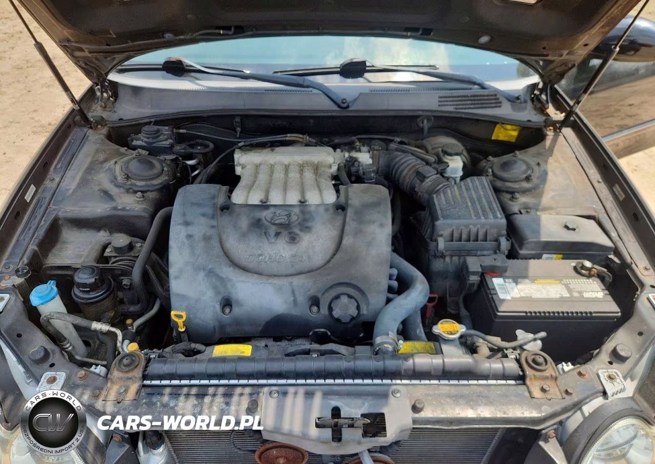 2003 Hyundai Sonata Gls VIN:KMHWF35H73A851893 - 11