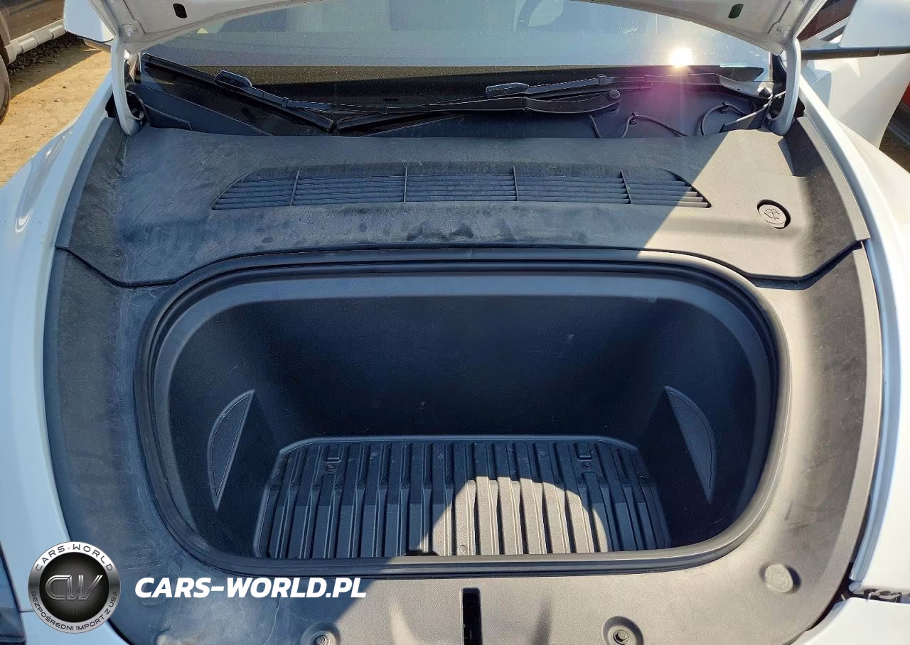 2024 Tesla Model Y VIN:7SAYGAEE0RF098764 - 11