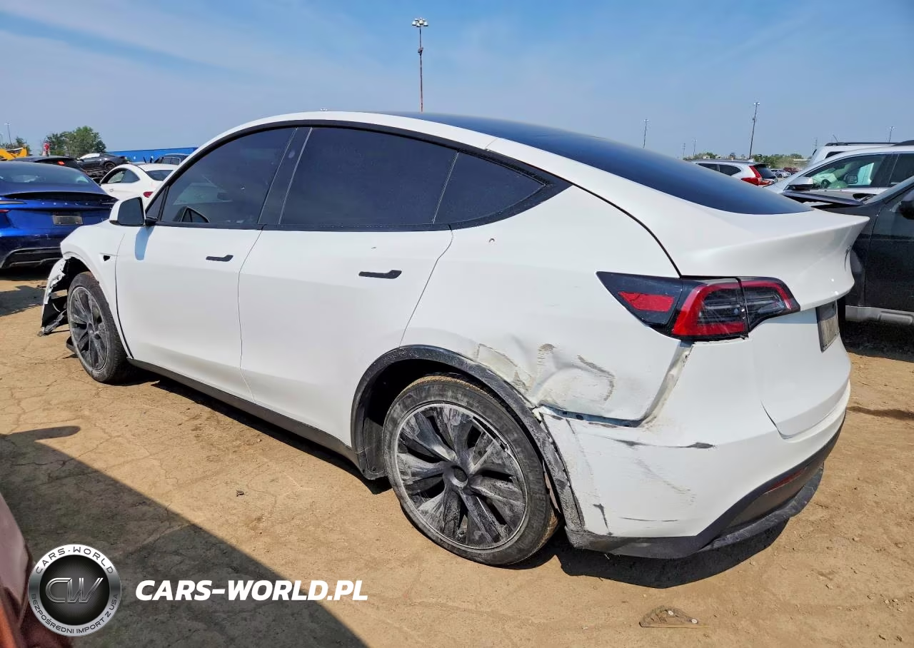 2024 Tesla Model Y VIN:7SAYGAEE0RF098764 - 2