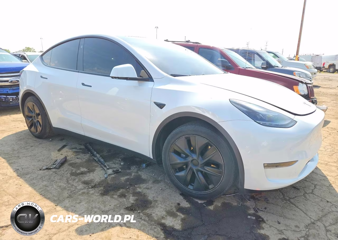 2024 Tesla Model Y VIN:7SAYGAEE0RF098764 - 4
