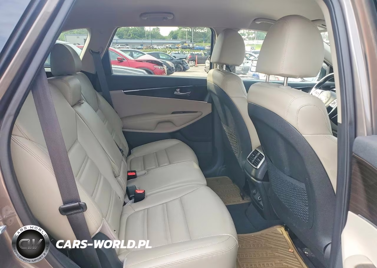 2019 Kia Sorento Ex V6 VIN:5XYPH4A55KG458719 - 11