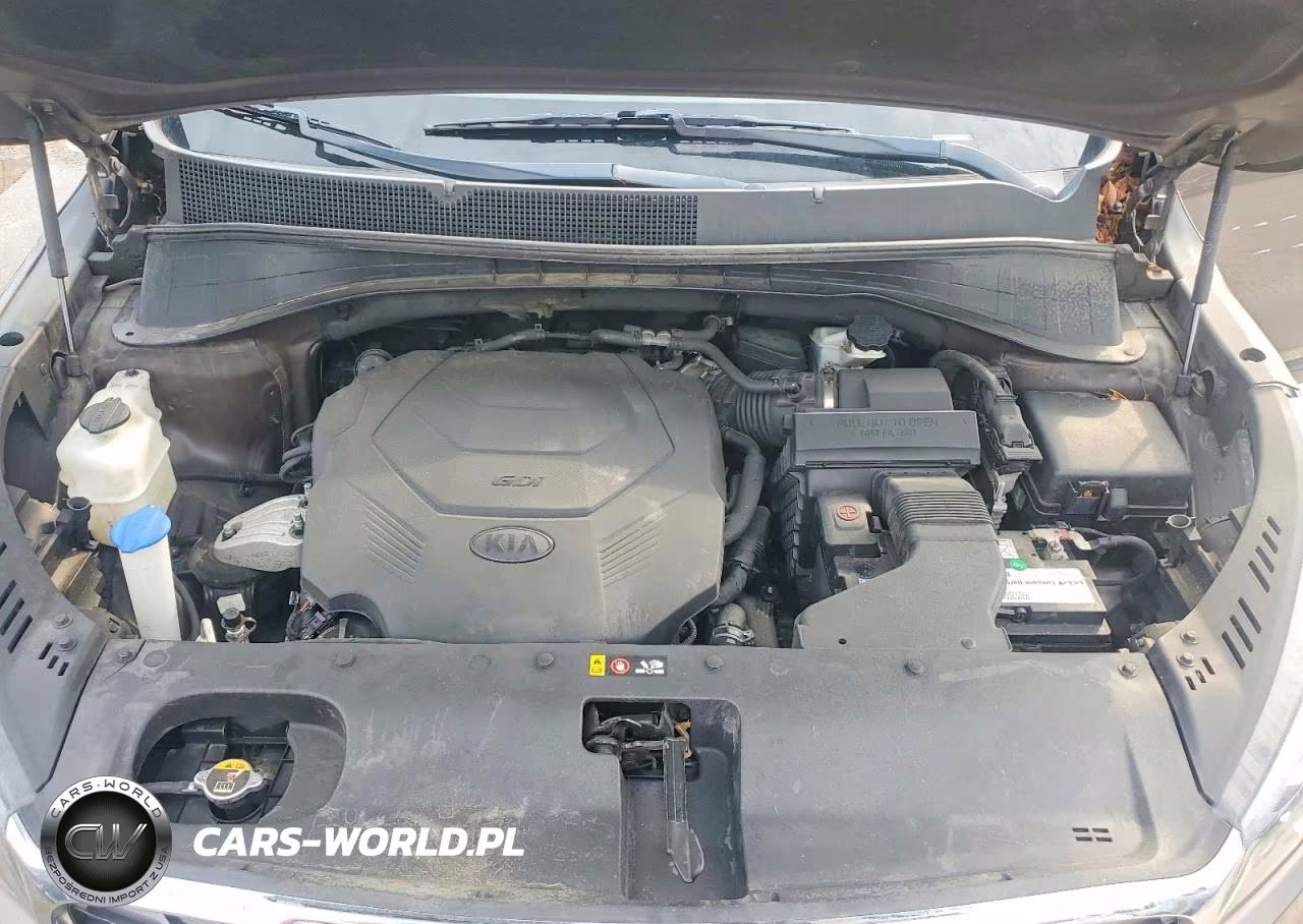 2019 Kia Sorento Ex V6 VIN:5XYPH4A55KG458719 - 12