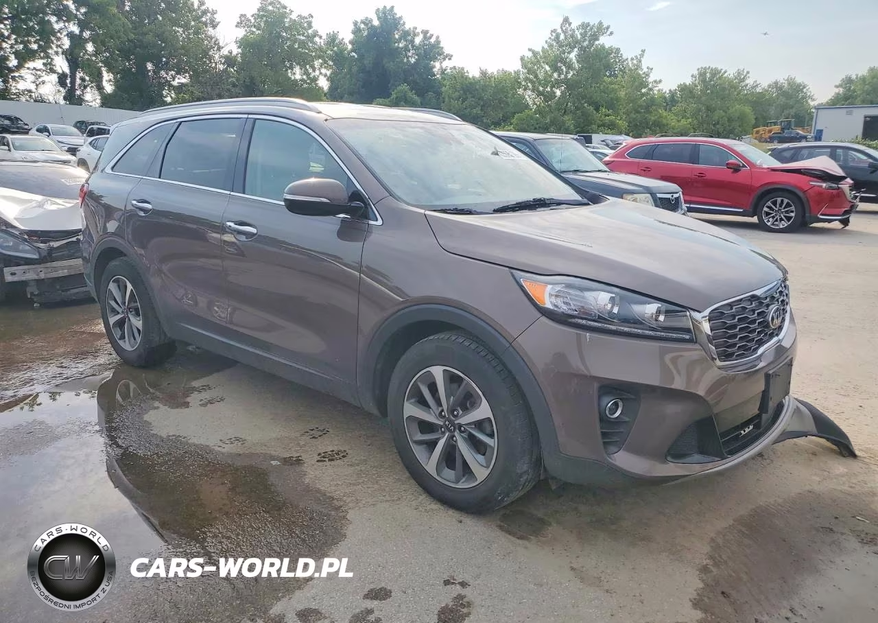 2019 Kia Sorento Ex V6 VIN:5XYPH4A55KG458719 - 4