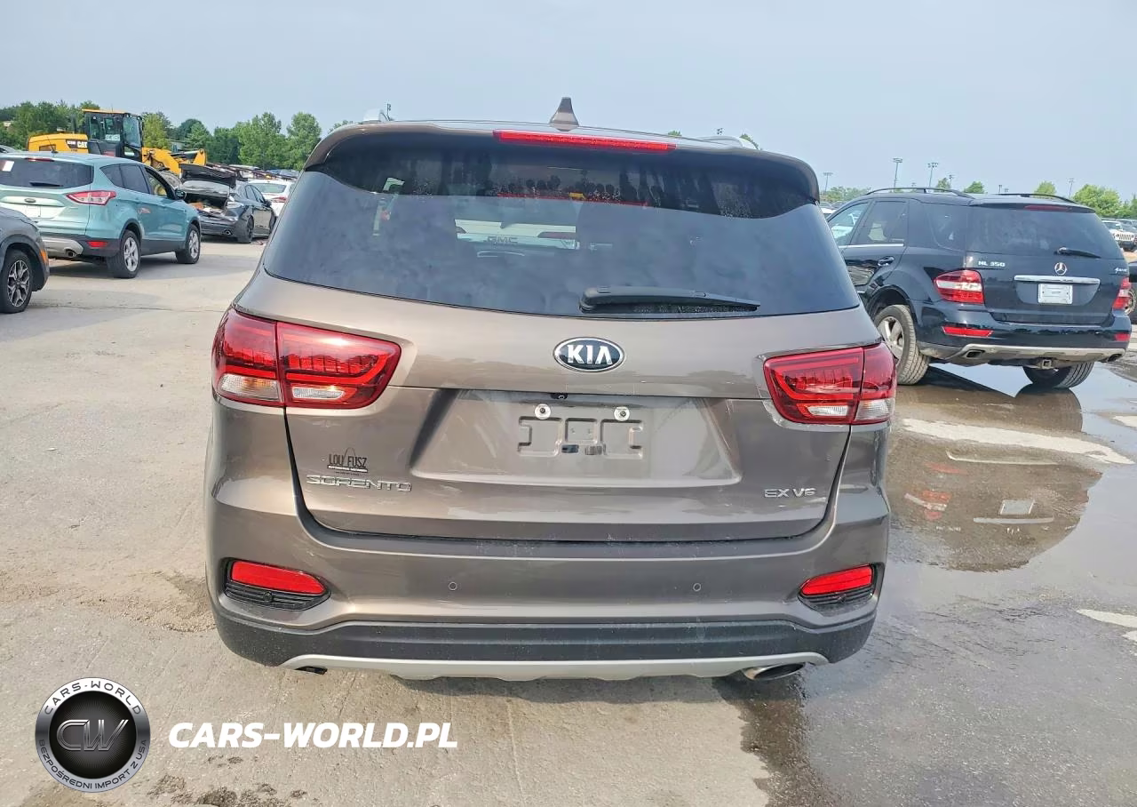 2019 Kia Sorento Ex V6 VIN:5XYPH4A55KG458719 - 6