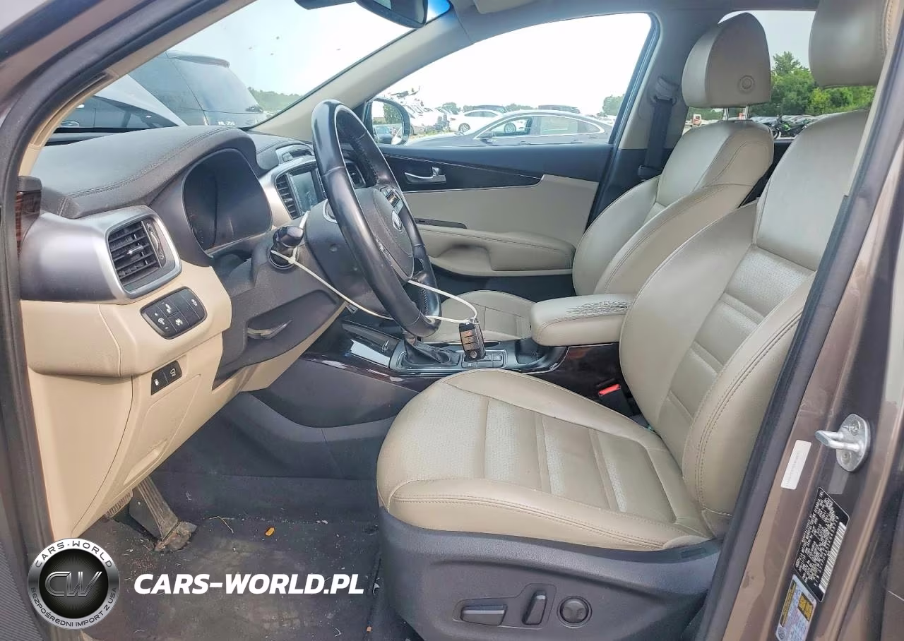 2019 Kia Sorento Ex V6 VIN:5XYPH4A55KG458719 - 7
