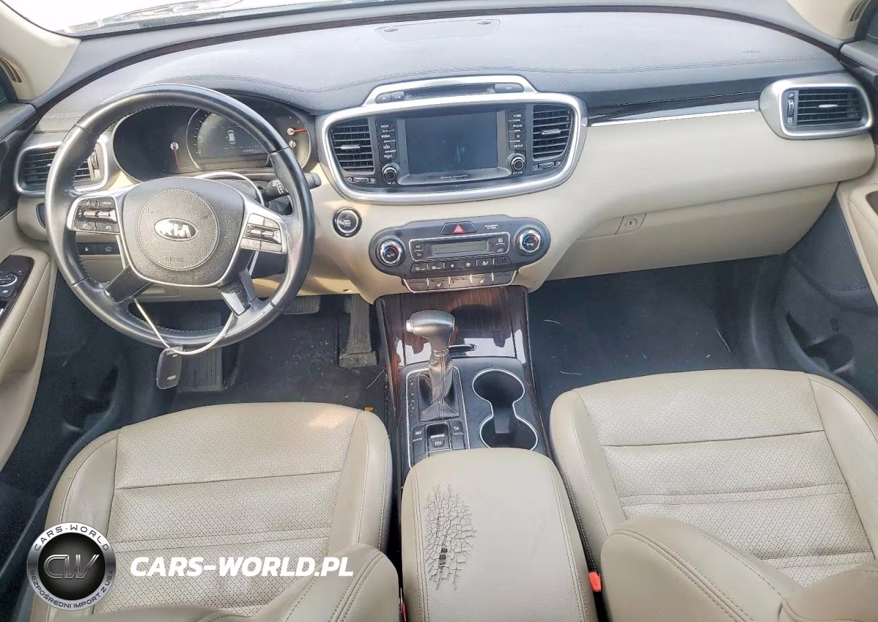 2019 Kia Sorento Ex V6 VIN:5XYPH4A55KG458719 - 8
