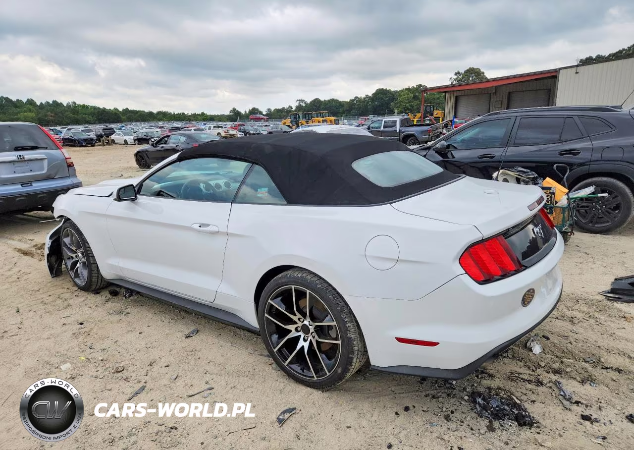 2016 Ford Mustang VIN:1FATP8UH7G5309698 - 2