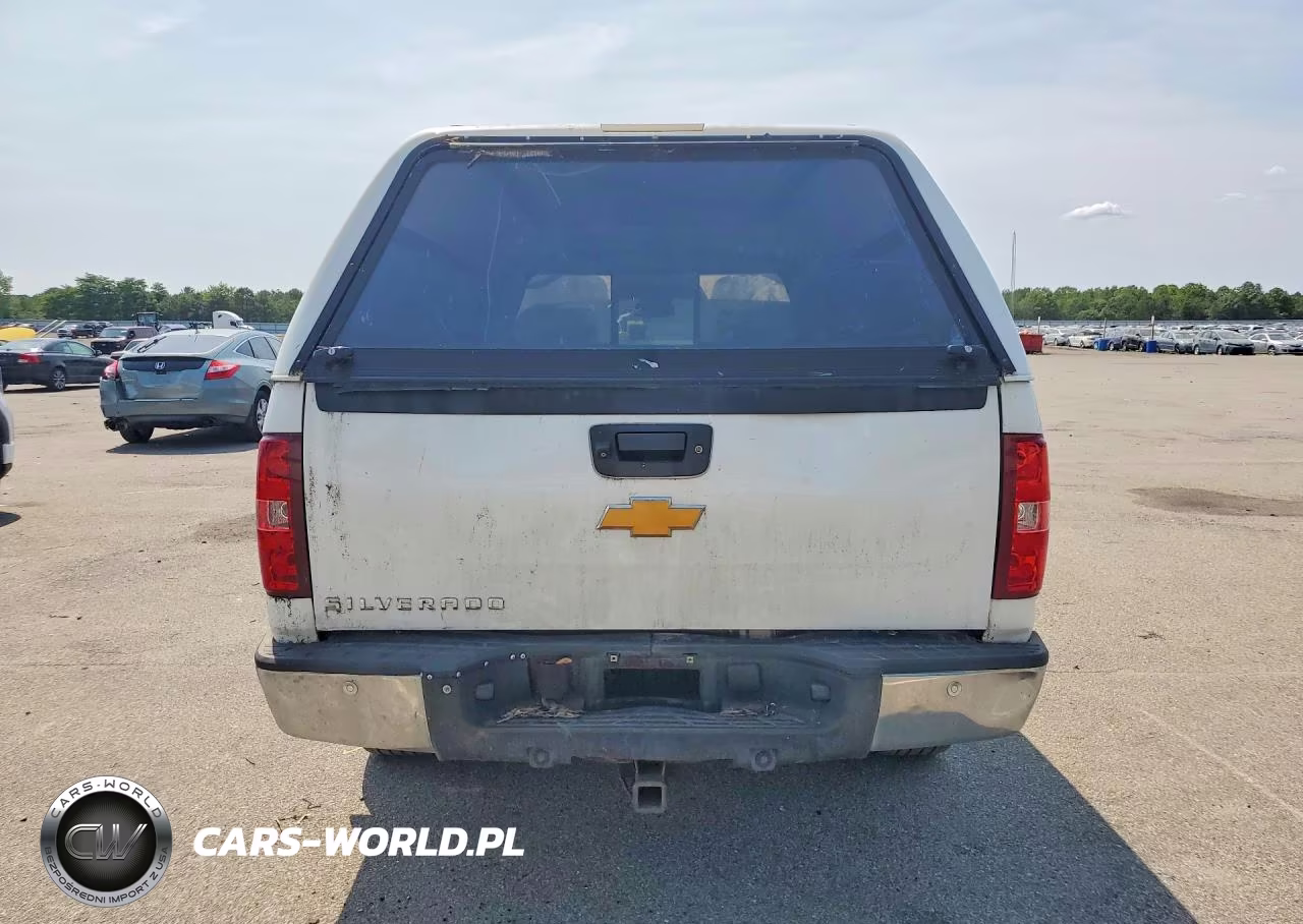 2010 Chevrolet Silverado K1500 Ltz VIN:1GCSKTE09AZ216181 - 6