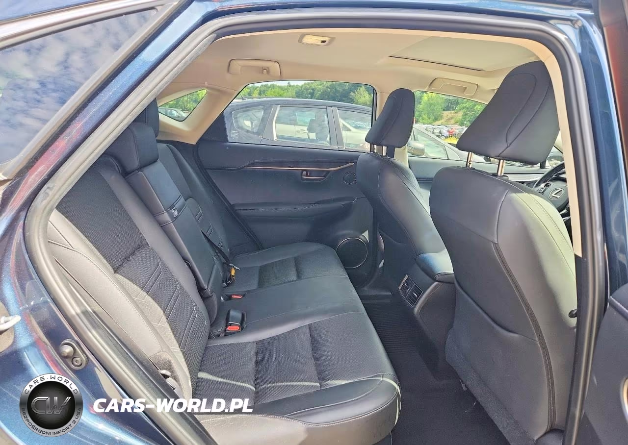 2015 Lexus Nx 200T VIN:JTJBARBZ5F2029090 - 10