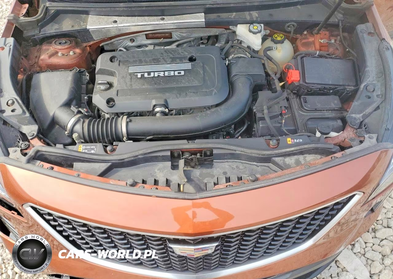 2019 Cadillac Xt4 Sport VIN:1GYFZER41KF168128 - 12