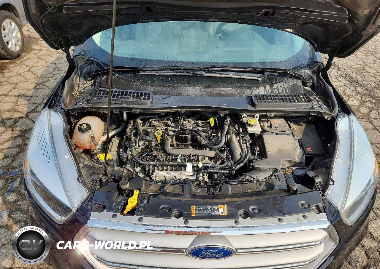 2019 Ford Escape Se VIN:1FMCU9GD5KUA61575 - 12