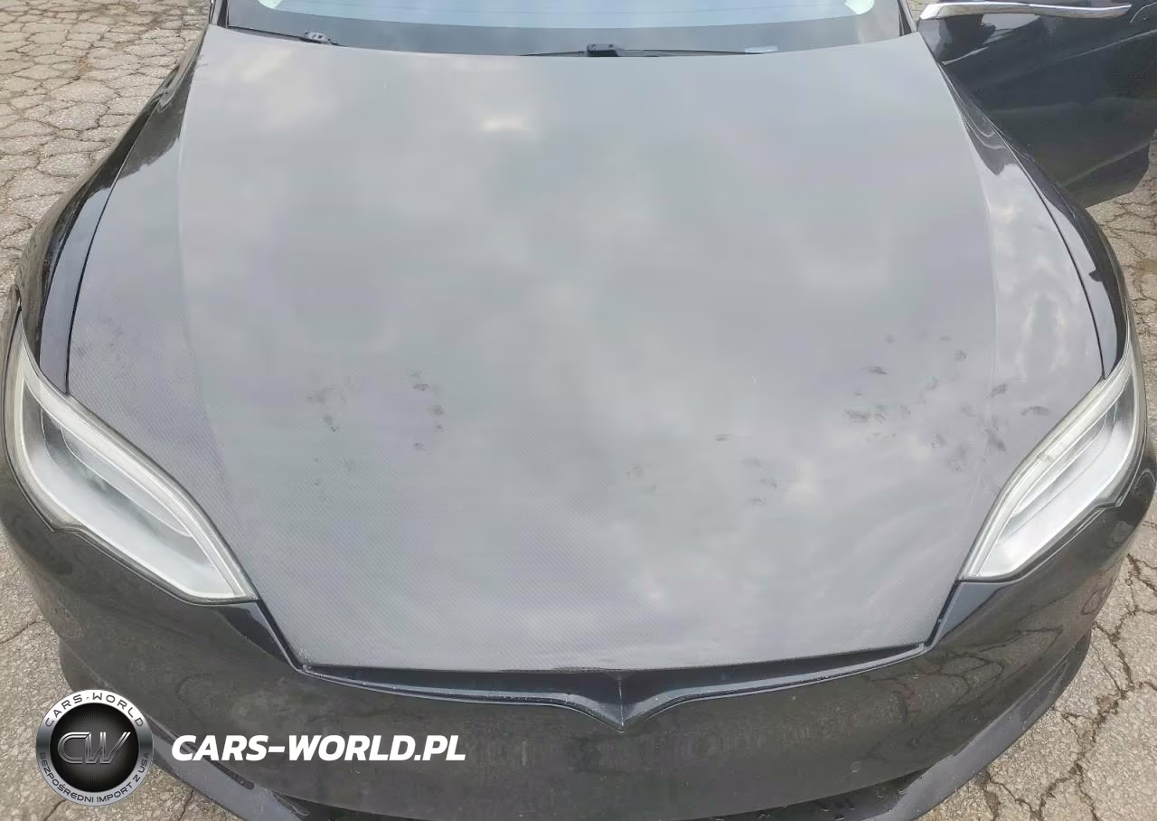 2017 Tesla Model S VIN:5YJSA1E2XHF189680 - 11