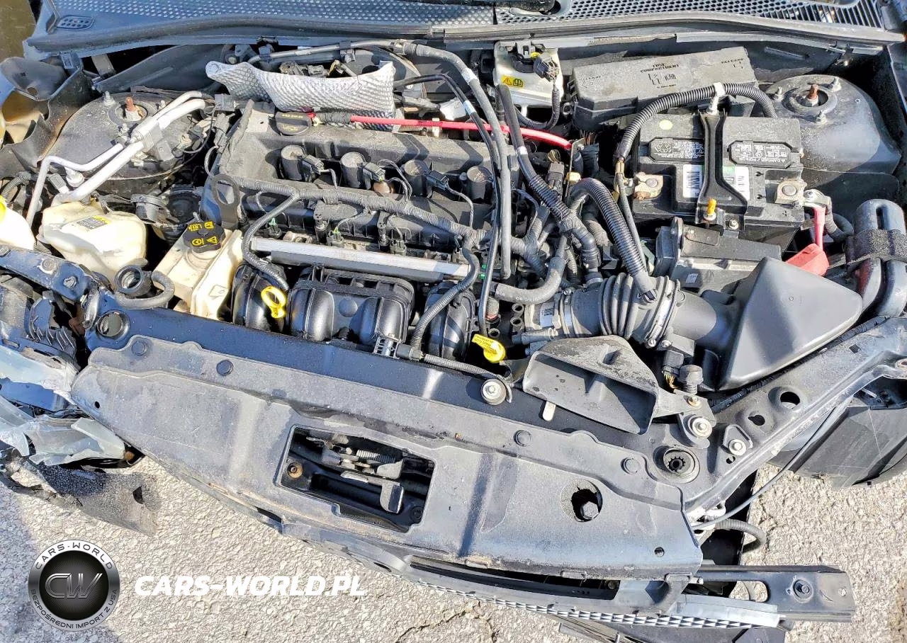 2009 Ford Focus Ses VIN:1FAHP36N49W146971 - 11