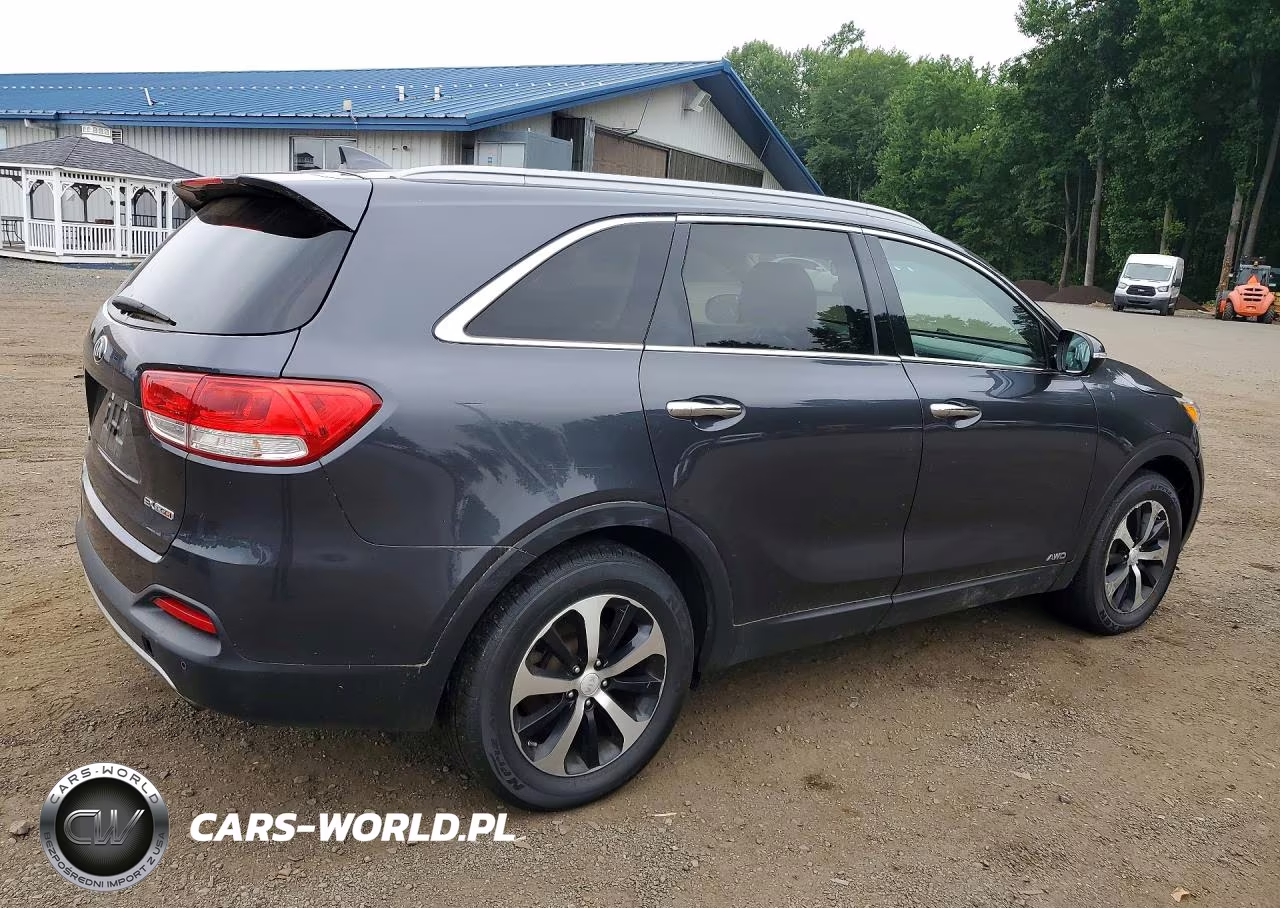 2016 Kia Sorento Ex VIN:5XYPHDA11GG180776 - 3