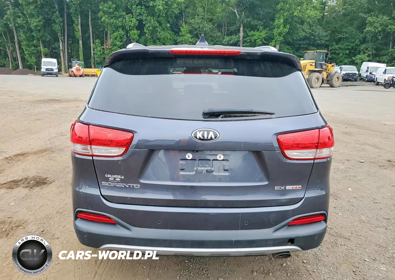 2016 Kia Sorento Ex VIN:5XYPHDA11GG180776 - 6
