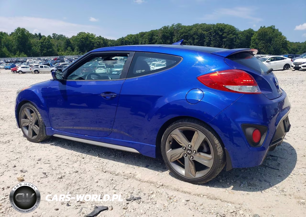 2014 Hyundai Veloster Turbo R-Spec VIN:KMHTC6AE5EU201048 - 2