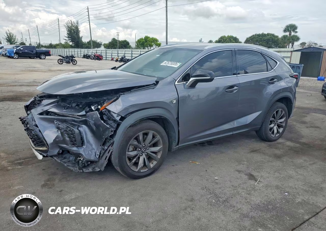 2020 Lexus Nx 300 F Sport