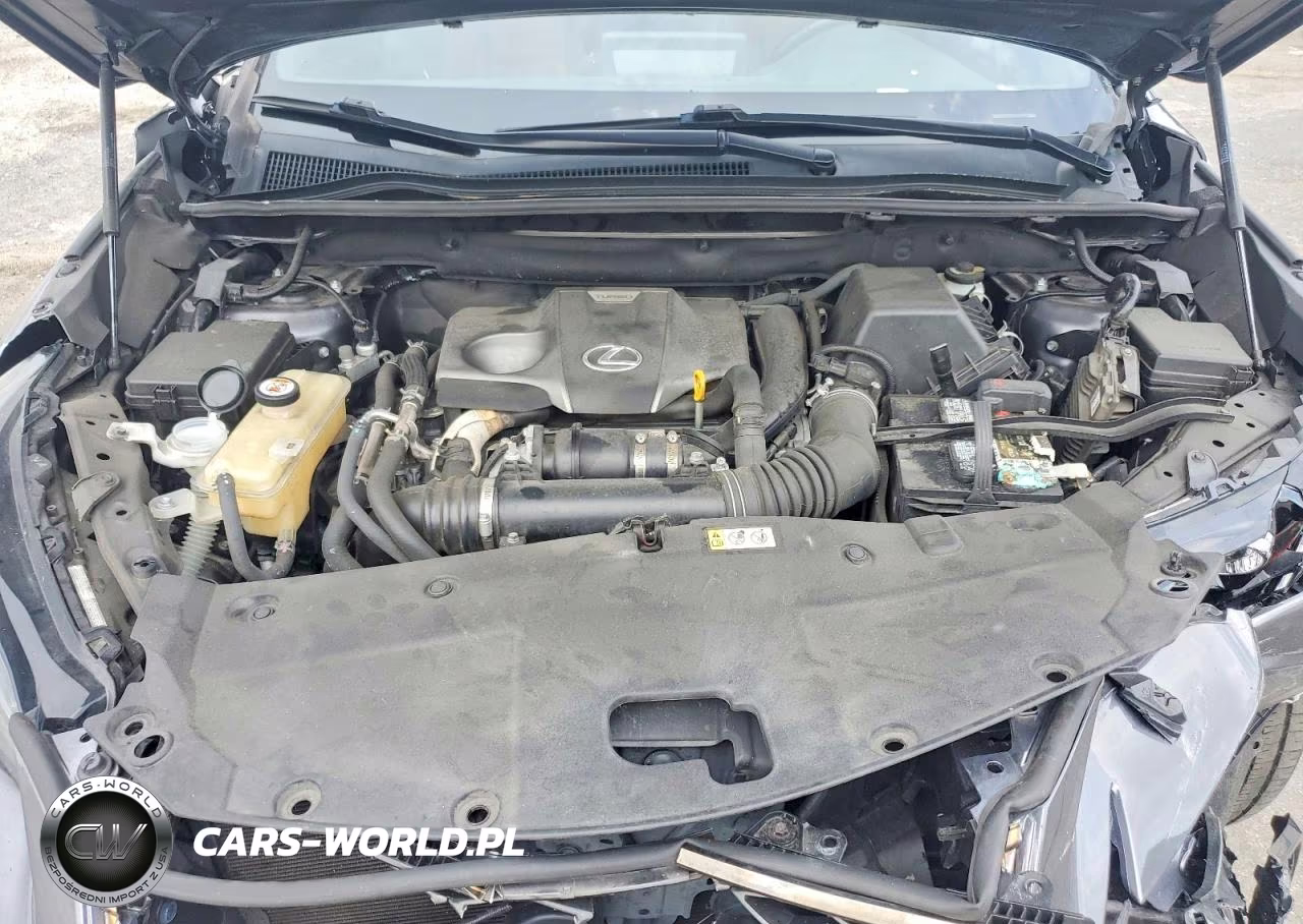 2020 Lexus Nx 300 F Sport VIN:JTJJARBZ8L2170906 - 11