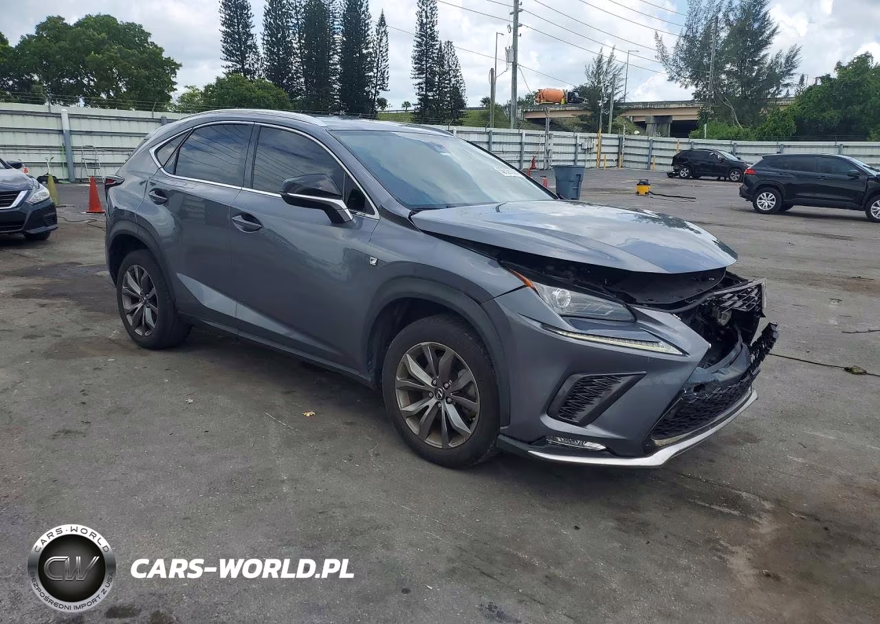 2020 Lexus Nx 300 F Sport VIN:JTJJARBZ8L2170906 - 4