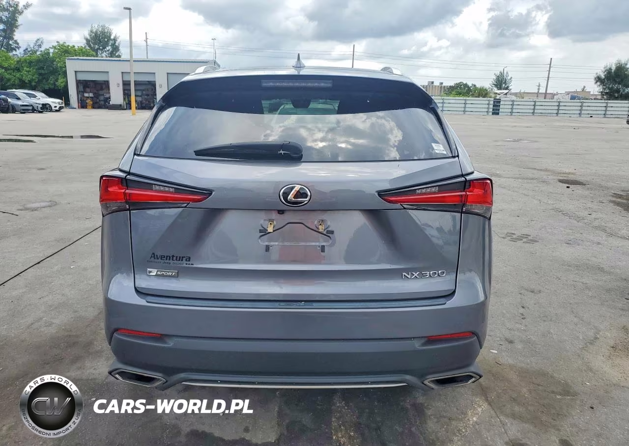 2020 Lexus Nx 300 F Sport VIN:JTJJARBZ8L2170906 - 6