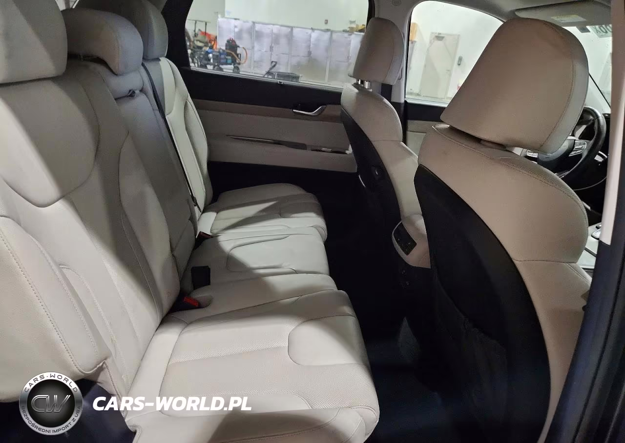 2022 Hyundai Palisade Sel VIN:KM8R4DHE4NU415336 - 10